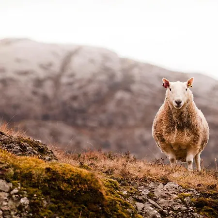 Solund Leileghetshotell 3* Hardbakke