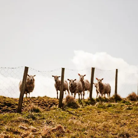 Solund Leileghetshotell 3* Hardbakke